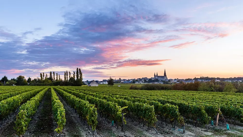 Flower Camping L'Ile d'Offard 4 étoiles★★★★