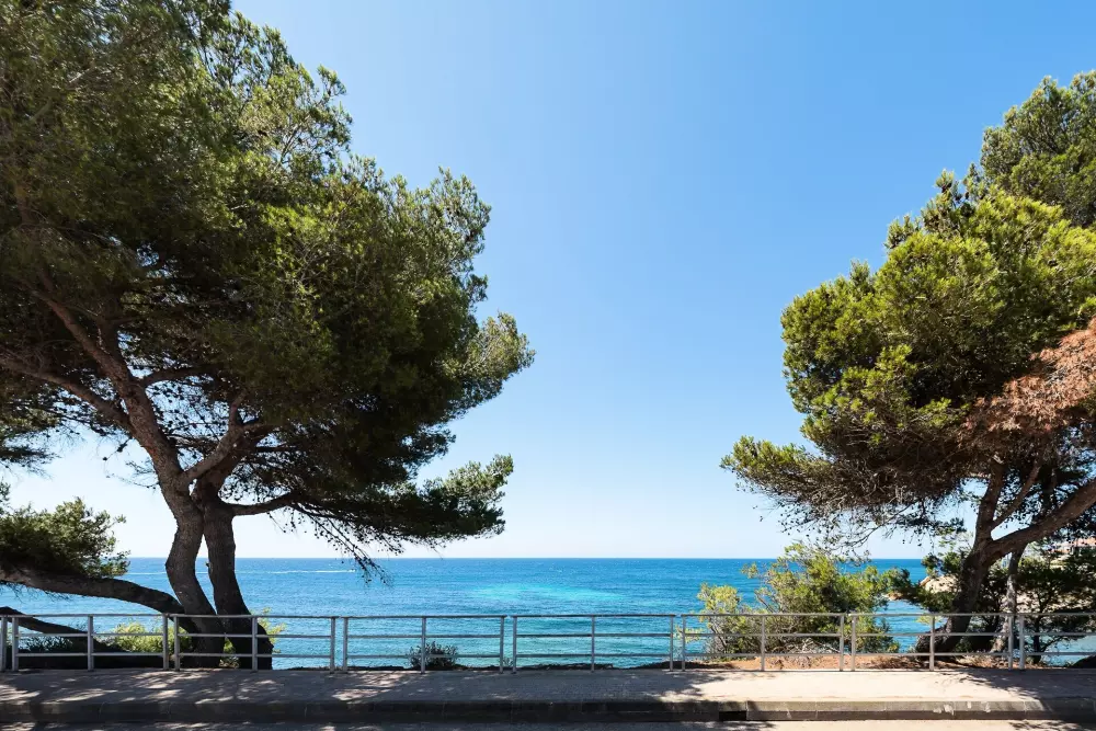 Residence La Corniche Bleue