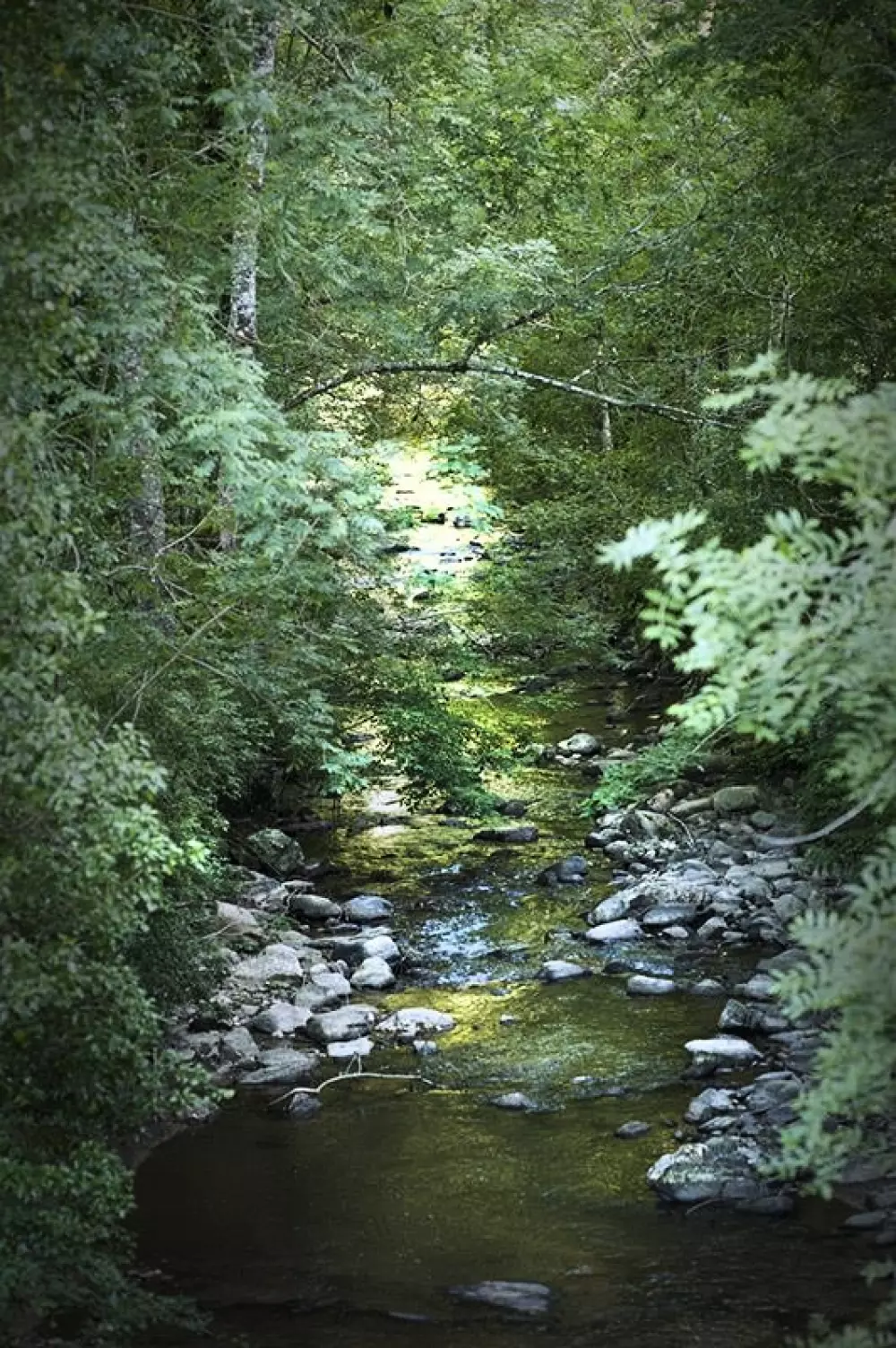 Les Chalets de la Gazonne 2 Sterne★★