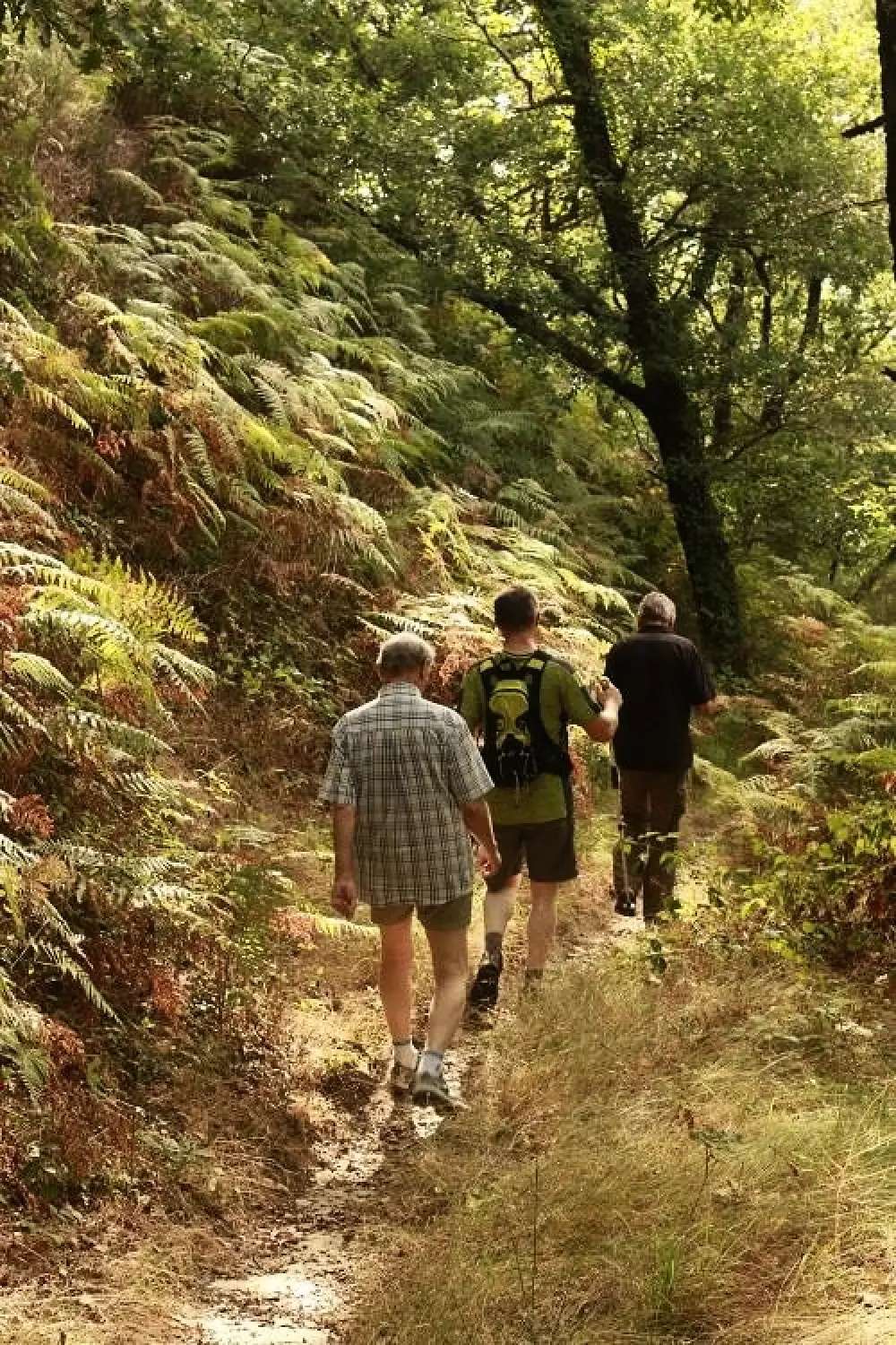 Les Chalets de la Gazonne 2 Sterne★★