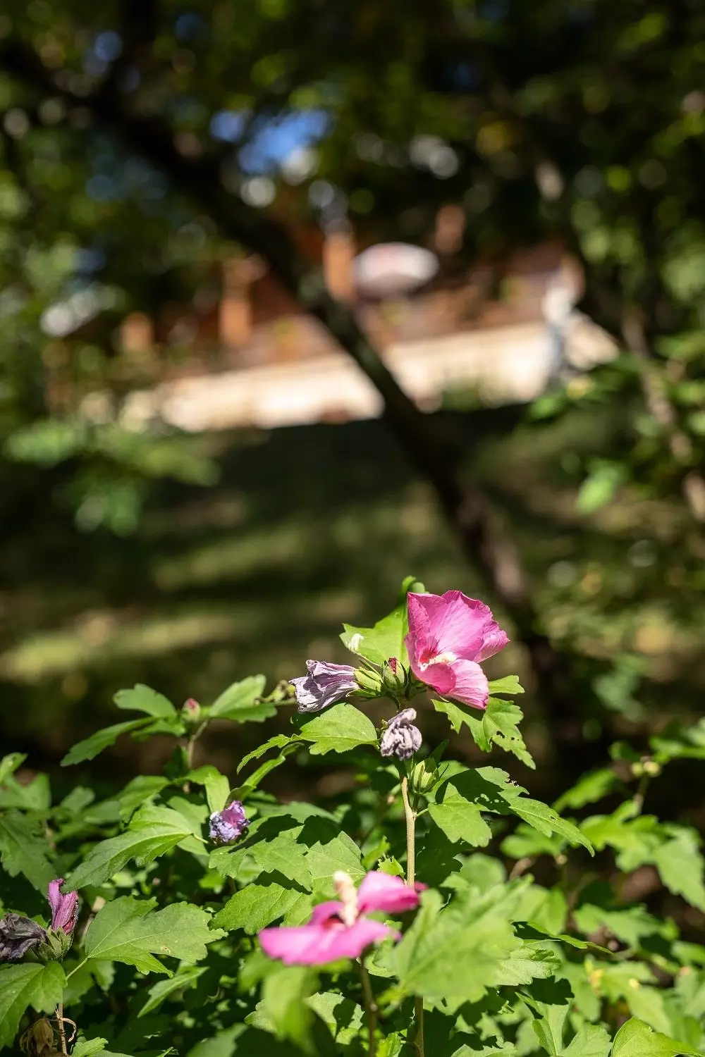 Les Chalets de la Gazonne 2 Sterne★★