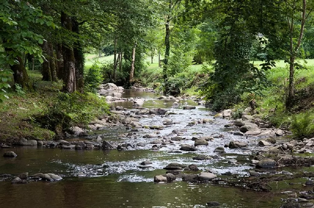 Les Chalets de la Gazonne 2 Sterne★★