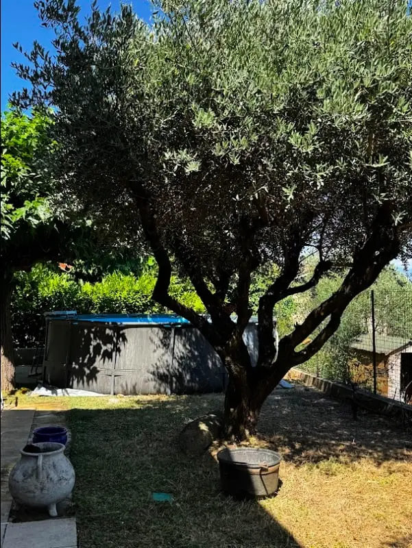 House with Pool, Clim és Ventoux Megtekintés
