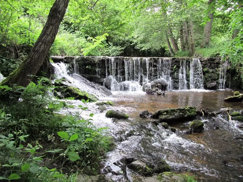 Camping del Agua Madre 3 Estrellas★★★