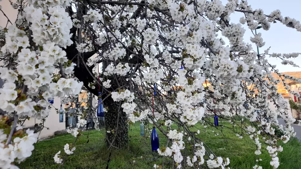 Camping del Agua Madre 3 Estrellas★★★