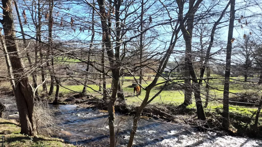 Camping del Agua Madre 3 Estrellas★★★