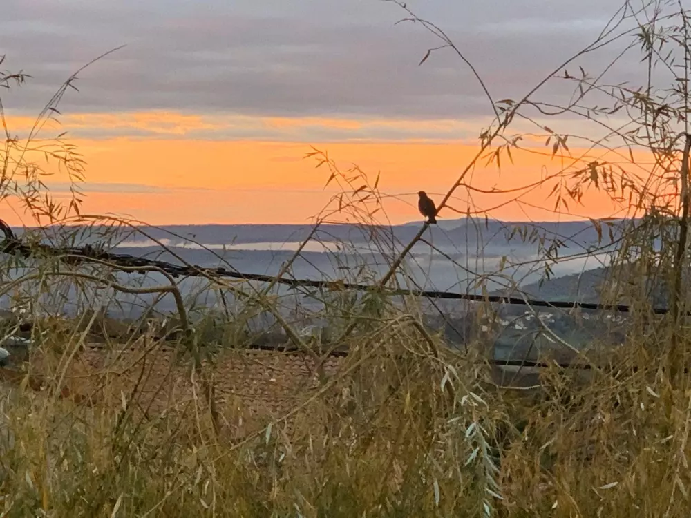 Camping del Agua Madre 3 Estrellas★★★