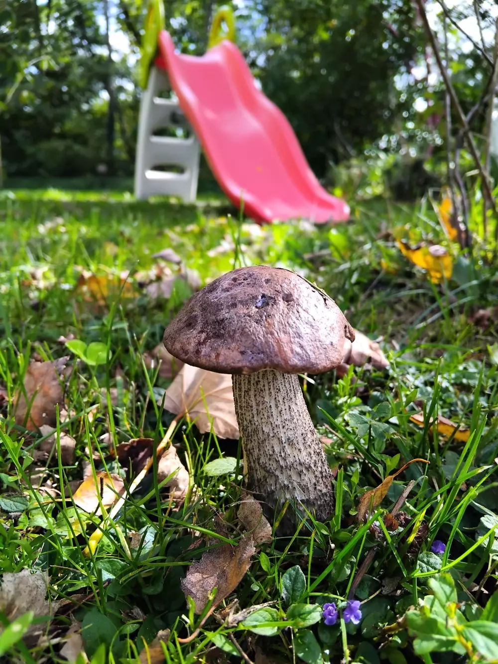 Camping del Agua Madre 3 Estrellas★★★