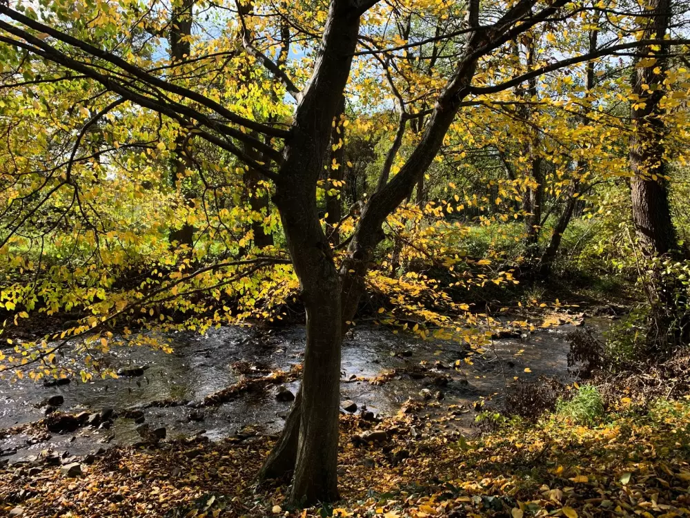 Camping del Agua Madre 3 Estrellas★★★