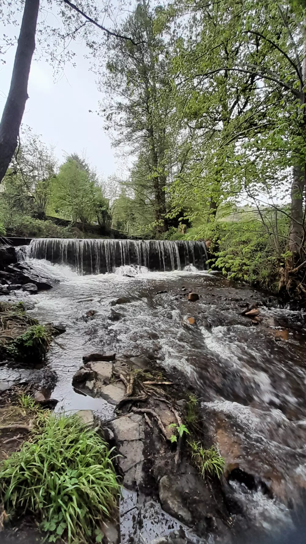 Camping del Agua Madre 3 Estrellas★★★