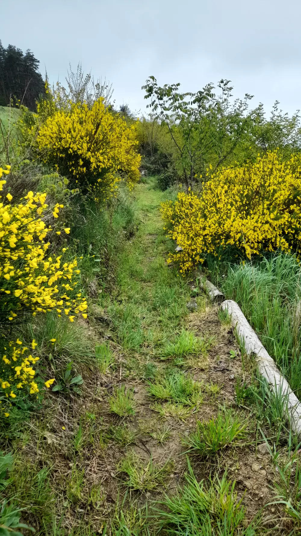 Camping del Agua Madre 3 Estrellas★★★