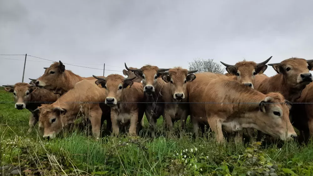 Camping del Agua Madre 3 Estrellas★★★