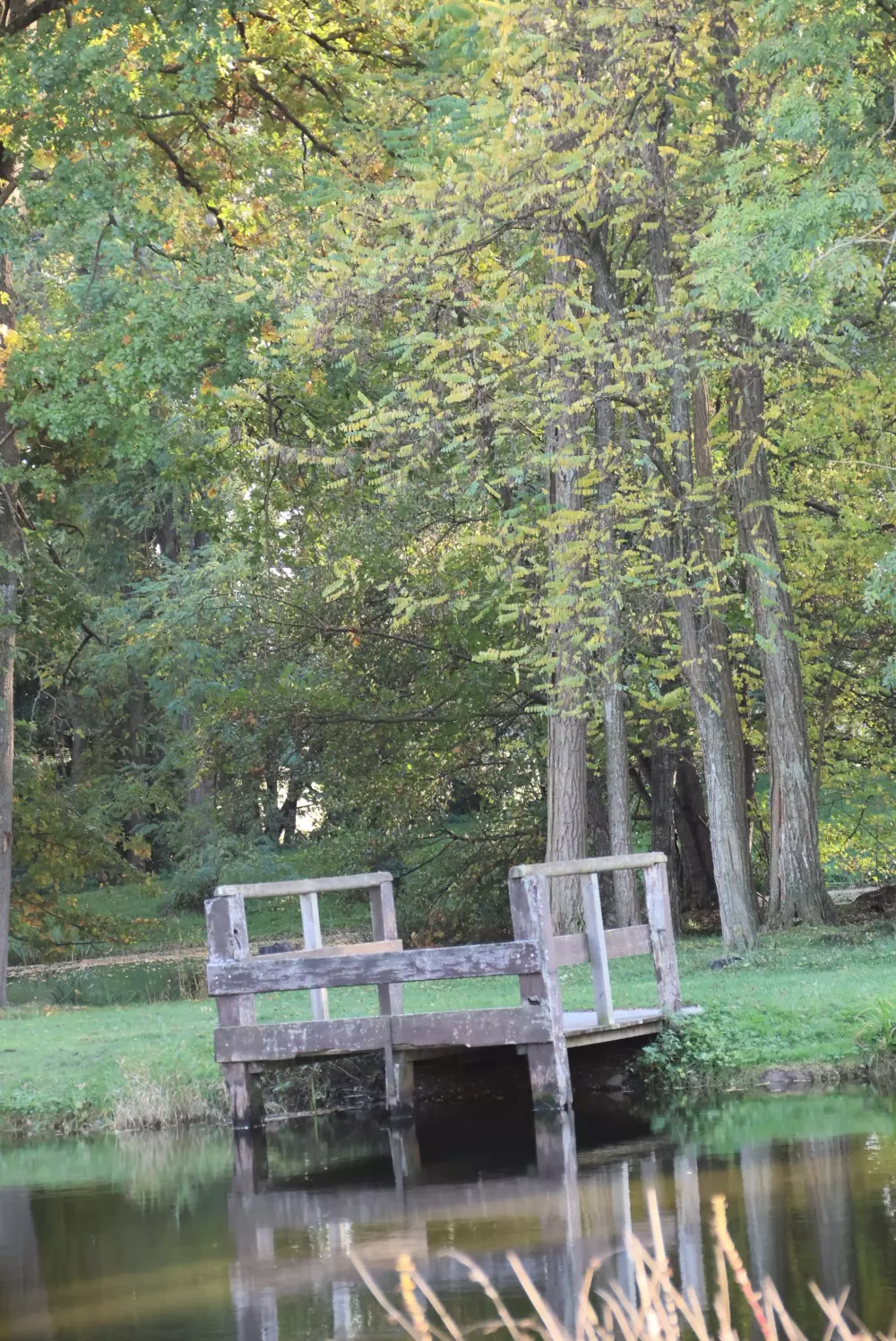 Camping del Agua Madre 3 Estrellas★★★