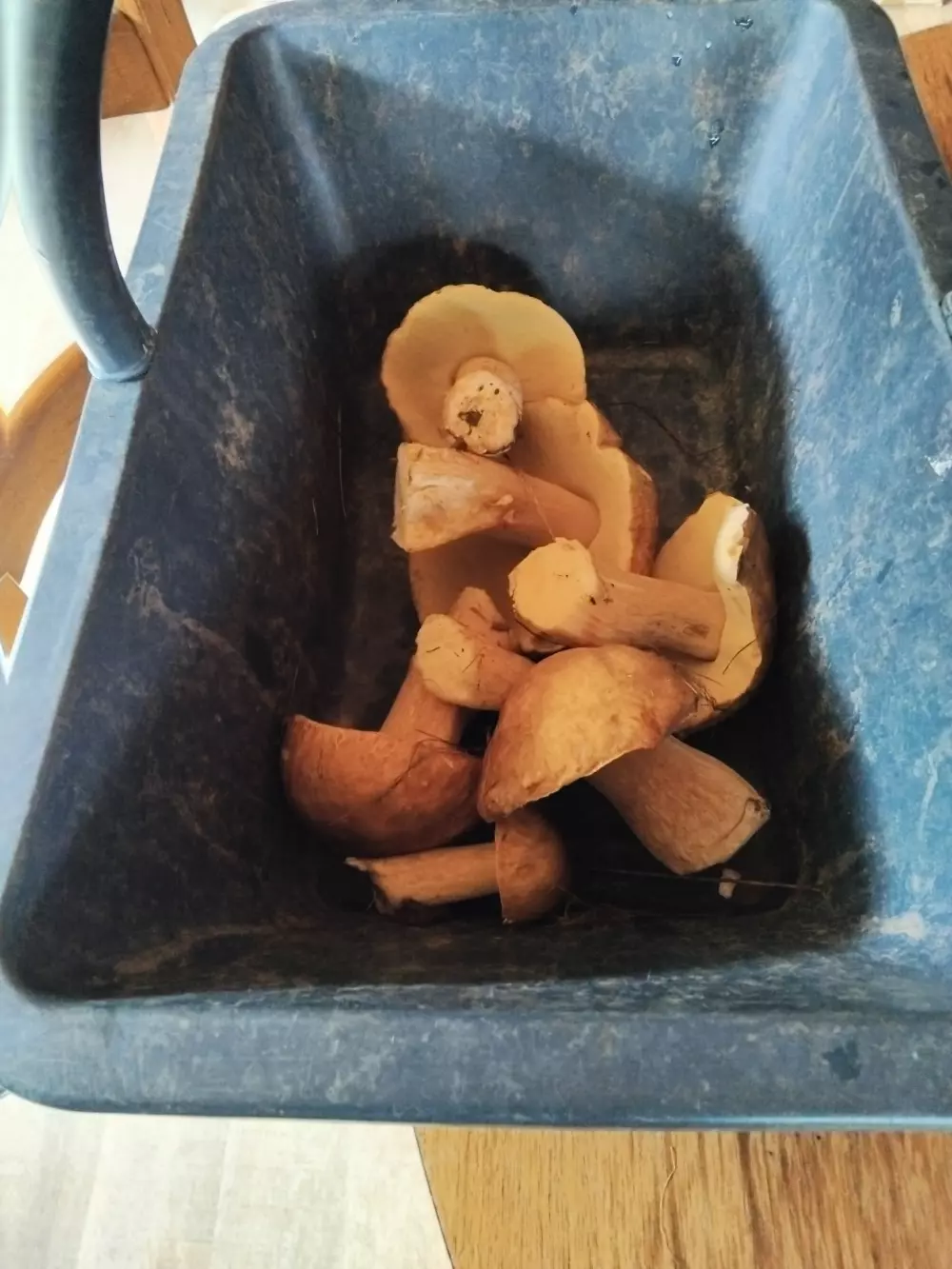 Camping del Agua Madre 3 Estrellas★★★