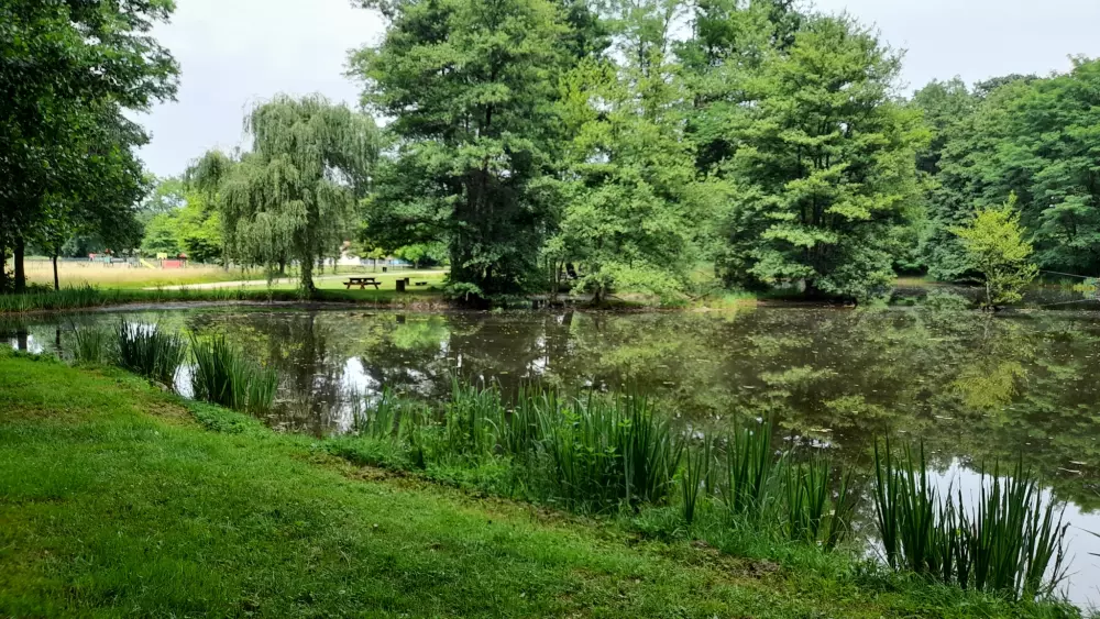 Camping del Agua Madre 3 Estrellas★★★