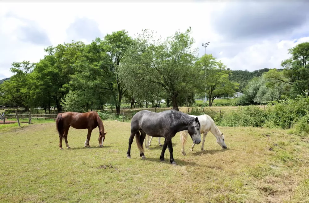 Campingplatz Les Portes d'Alsace 3 Sterne★★★