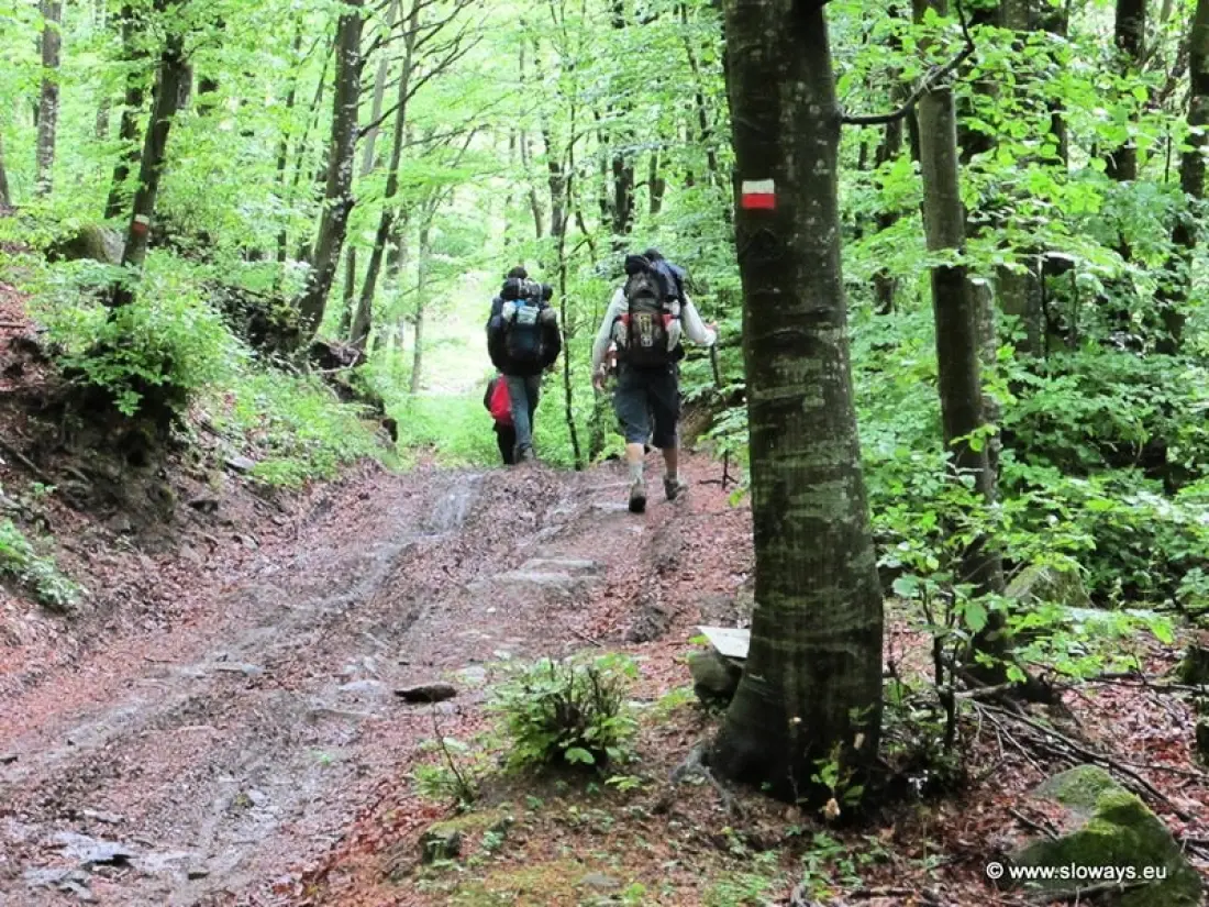 Campsite Village Mugello Verde 3 Csillagok★★★