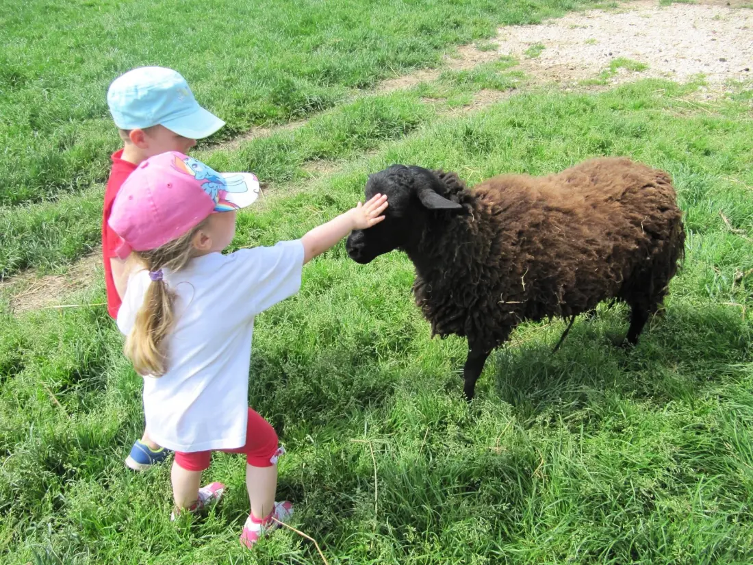 Campeggio Ferme Pedagogique de Prunay 12 Stelle★★★★★★★★★★★★