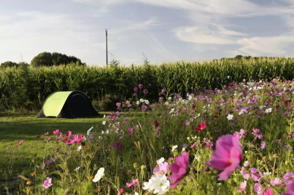 Kempingi Ferme Pedagogique de Prunay 4 Gwiazdy★★★★ 4 Gwiazdy★★★★ 4 Gwiazdy★★★★ 4 Gwiazdy★★★★