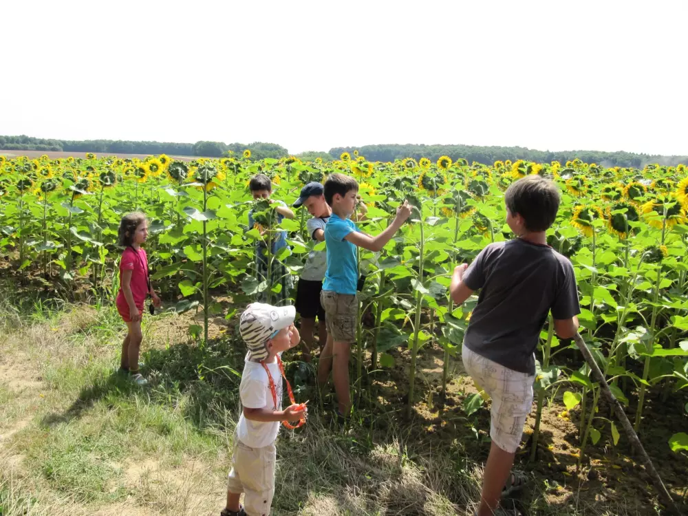 Kempingi Ferme Pedagogique de Prunay 4 Gwiazdy★★★★ 4 Gwiazdy★★★★ 4 Gwiazdy★★★★ 4 Gwiazdy★★★★