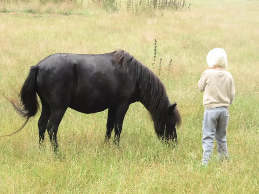 Kempingi Ferme Pedagogique de Prunay 4 Gwiazdy★★★★ 4 Gwiazdy★★★★ 4 Gwiazdy★★★★ 4 Gwiazdy★★★★