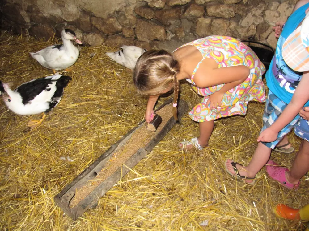 Kempingi Ferme Pedagogique de Prunay 4 Gwiazdy★★★★ 4 Gwiazdy★★★★ 4 Gwiazdy★★★★ 4 Gwiazdy★★★★