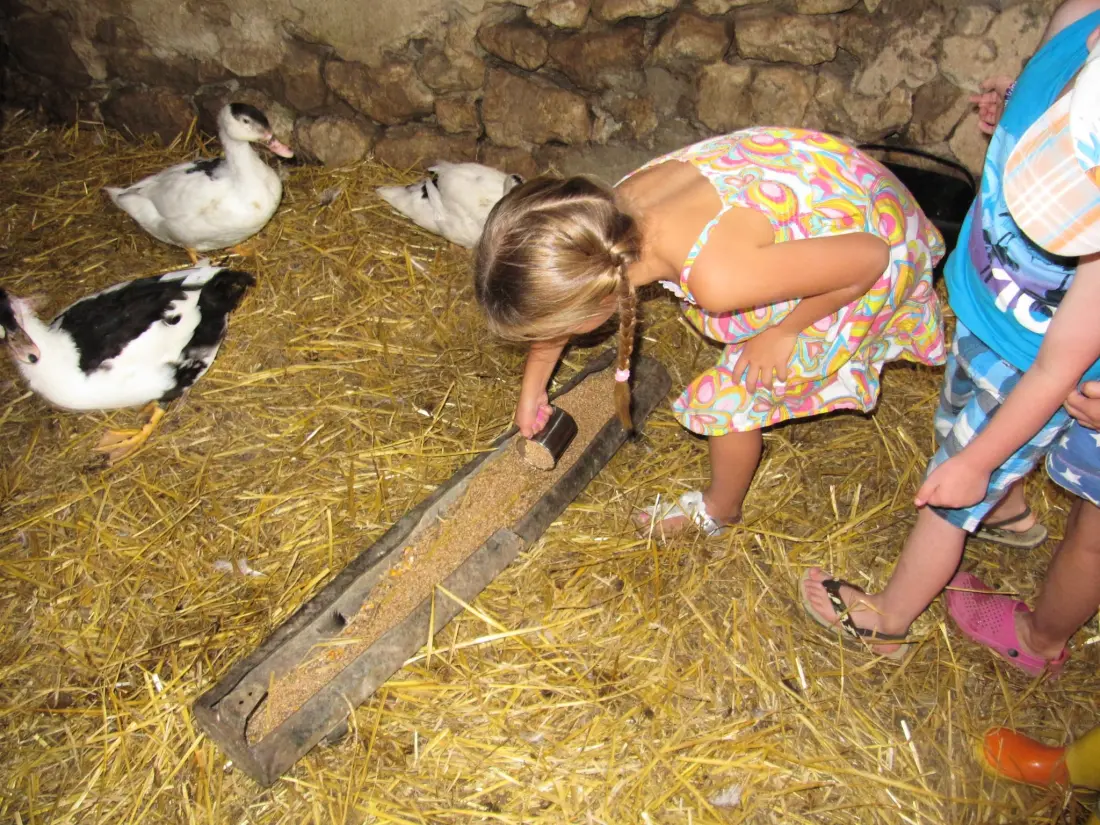Campeggio Ferme Pedagogique de Prunay 12 Stelle★★★★★★★★★★★★