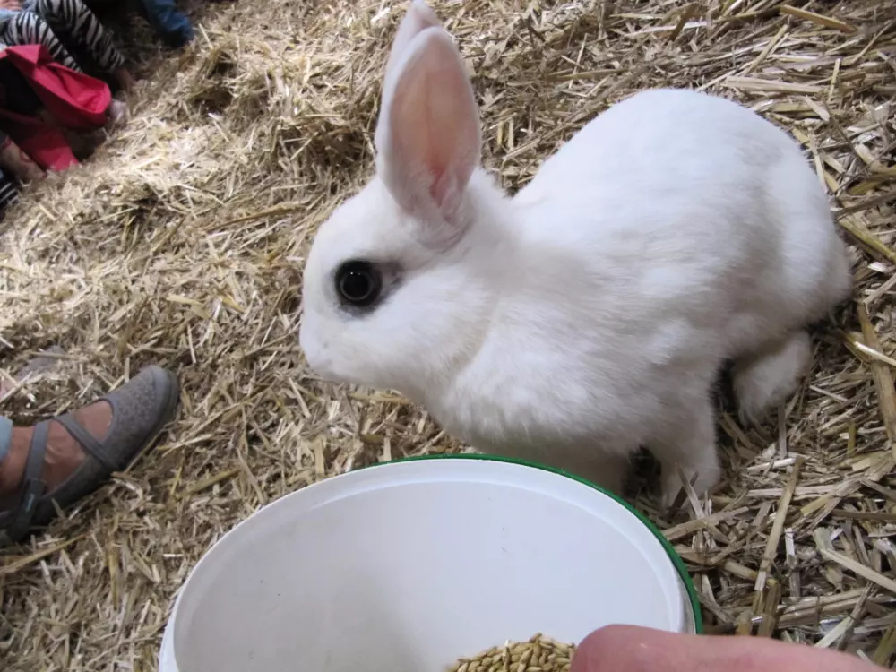 Kempingi Ferme Pedagogique de Prunay 4 Gwiazdy★★★★ 4 Gwiazdy★★★★ 4 Gwiazdy★★★★ 4 Gwiazdy★★★★