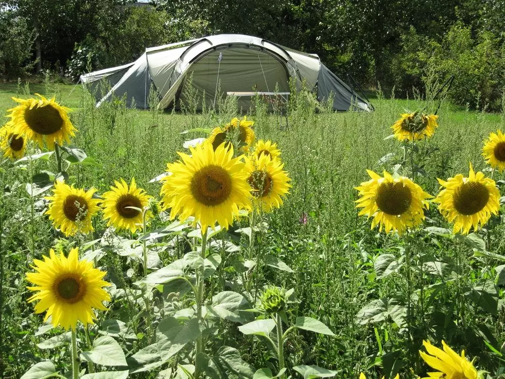 Kempingi Ferme Pedagogique de Prunay 4 Gwiazdy★★★★ 4 Gwiazdy★★★★ 4 Gwiazdy★★★★ 4 Gwiazdy★★★★