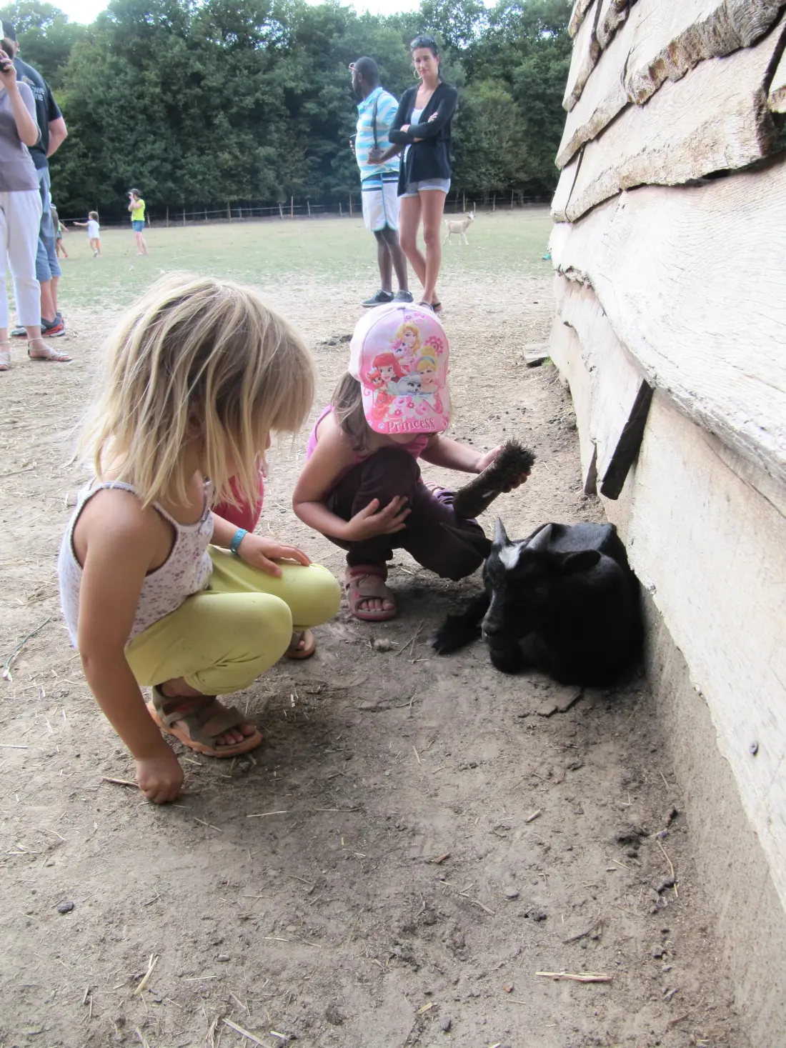 Campeggio Ferme Pedagogique de Prunay 12 Stelle★★★★★★★★★★★★
