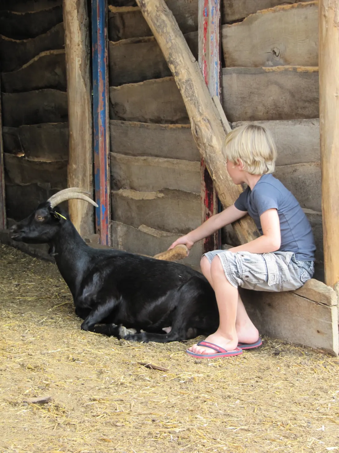 Campeggio Ferme Pedagogique de Prunay 12 Stelle★★★★★★★★★★★★