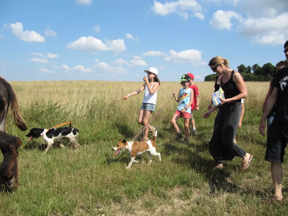 Kempingi Ferme Pedagogique de Prunay 4 Gwiazdy★★★★ 4 Gwiazdy★★★★ 4 Gwiazdy★★★★ 4 Gwiazdy★★★★