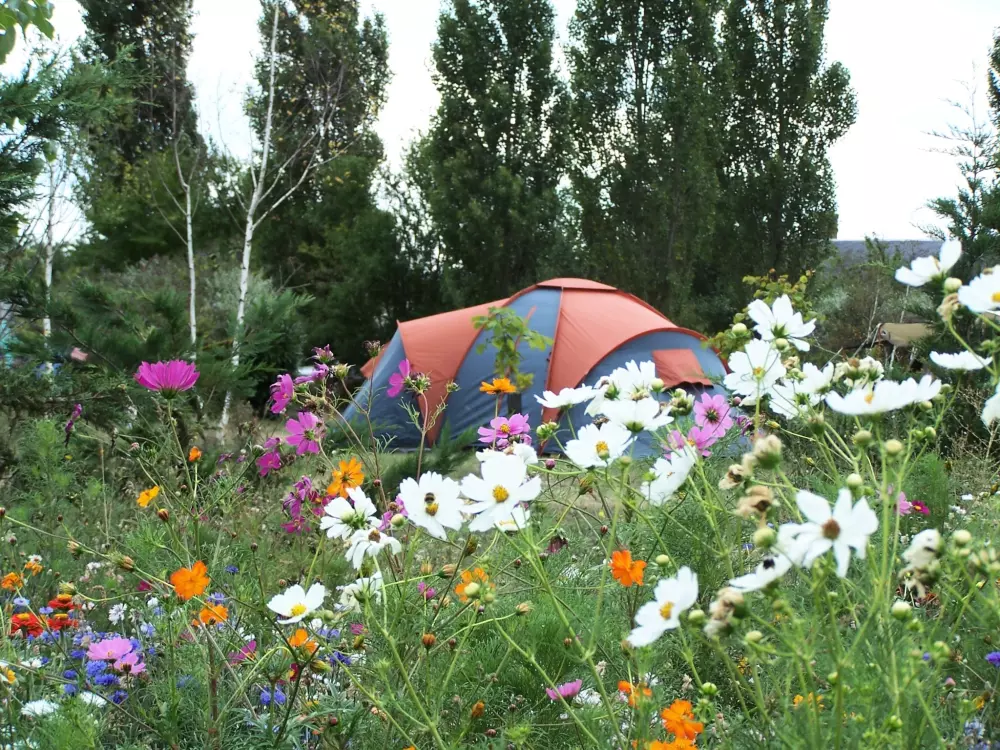 Kempingi Ferme Pedagogique de Prunay 4 Gwiazdy★★★★ 4 Gwiazdy★★★★ 4 Gwiazdy★★★★ 4 Gwiazdy★★★★