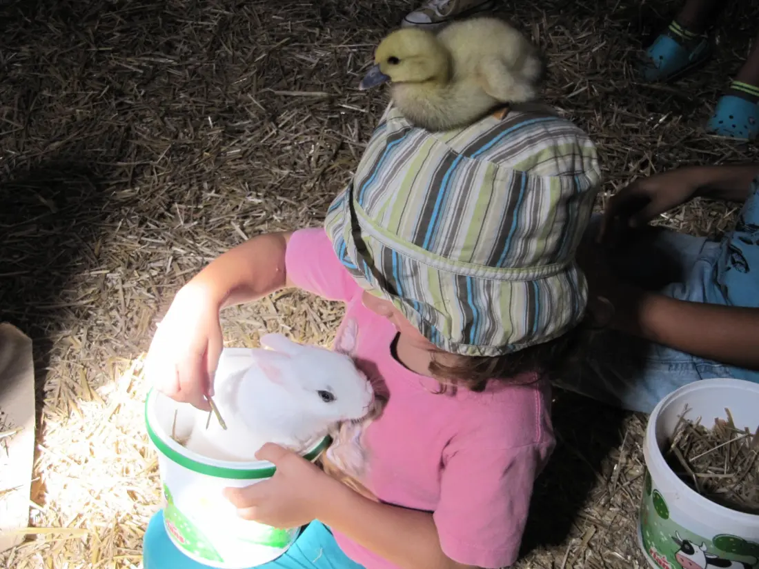 Campeggio Ferme Pedagogique de Prunay 12 Stelle★★★★★★★★★★★★