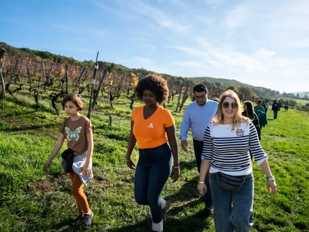 VVF Semur-en-Auxois 3 étoiles★★★