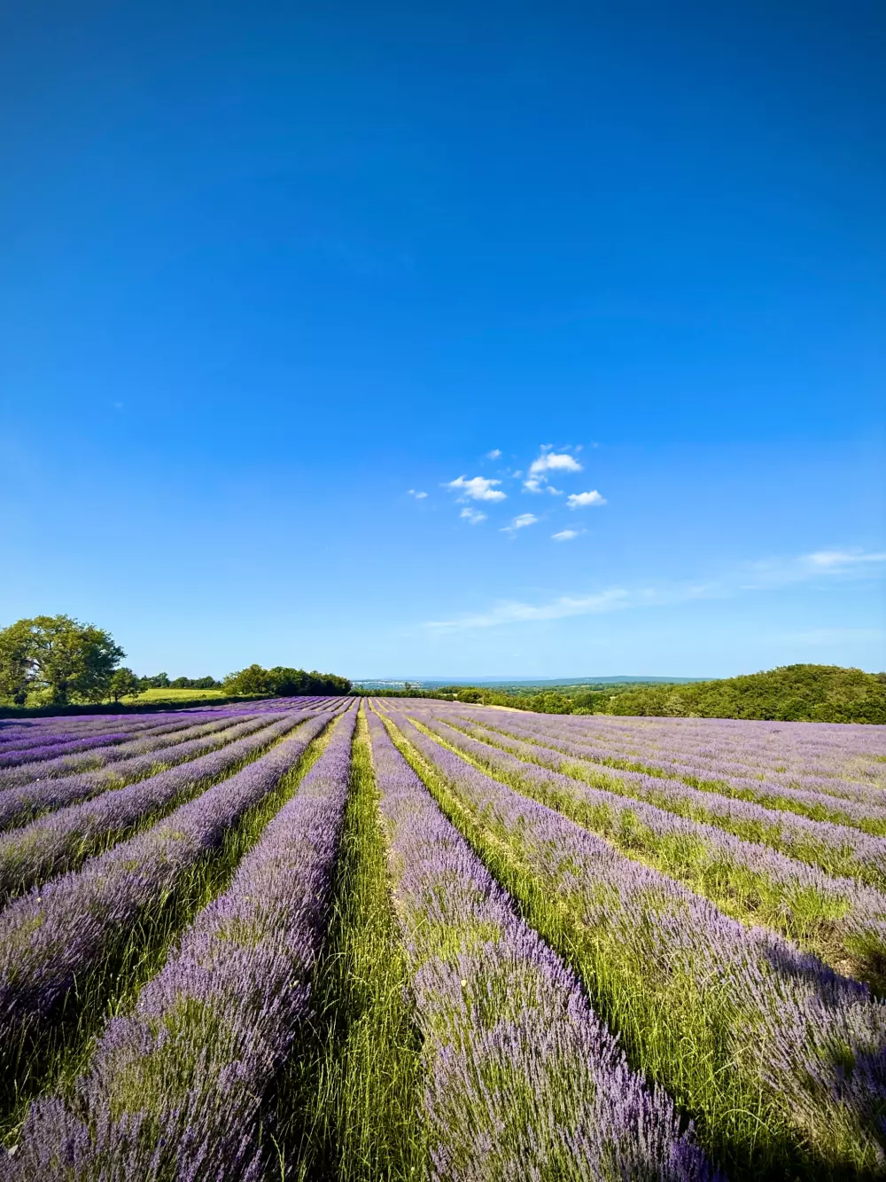Campingplatz Domaine de la Faurie 4 Sterne★★★★