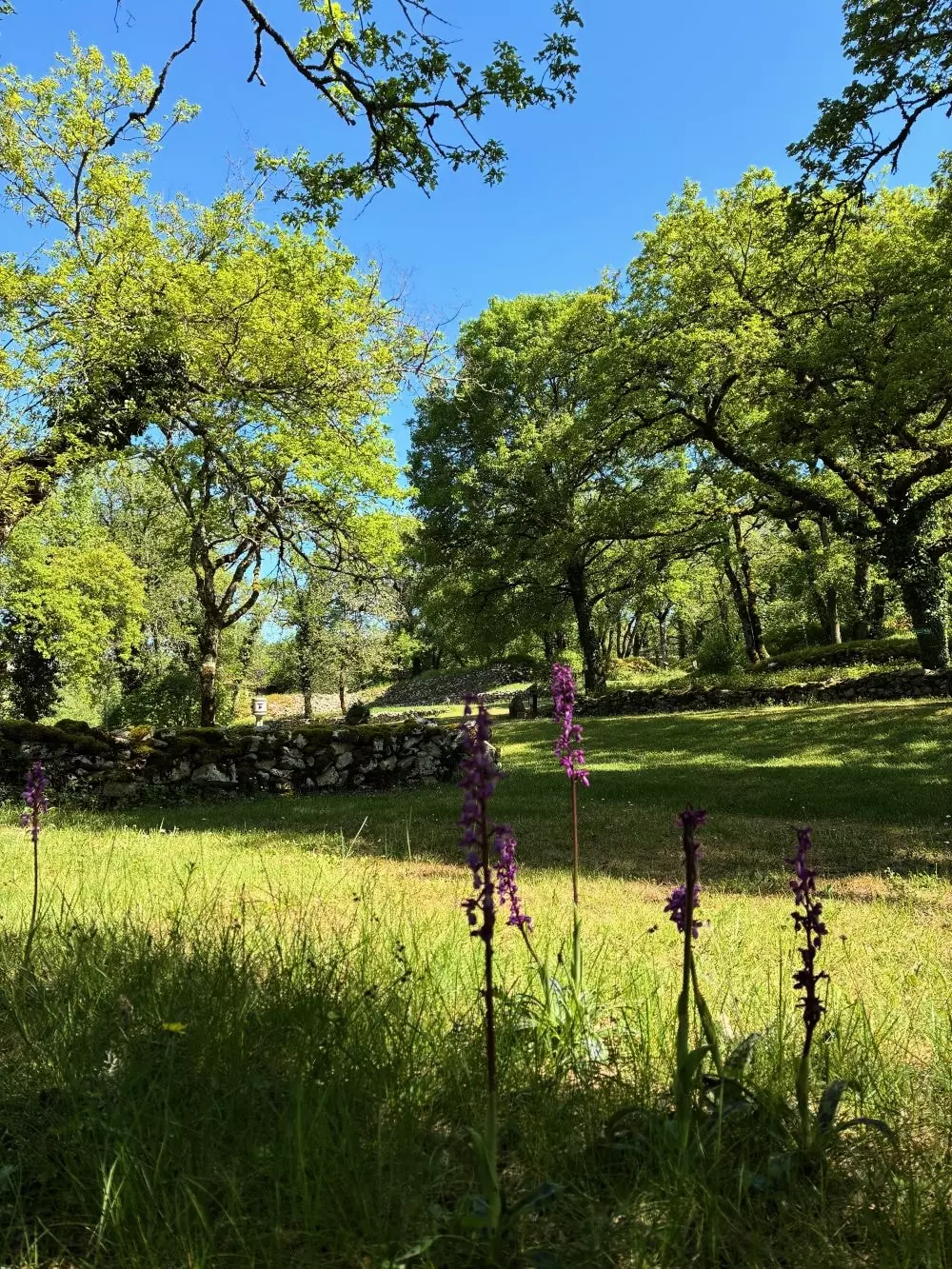 Campingplatz Domaine de la Faurie 4 Sterne★★★★