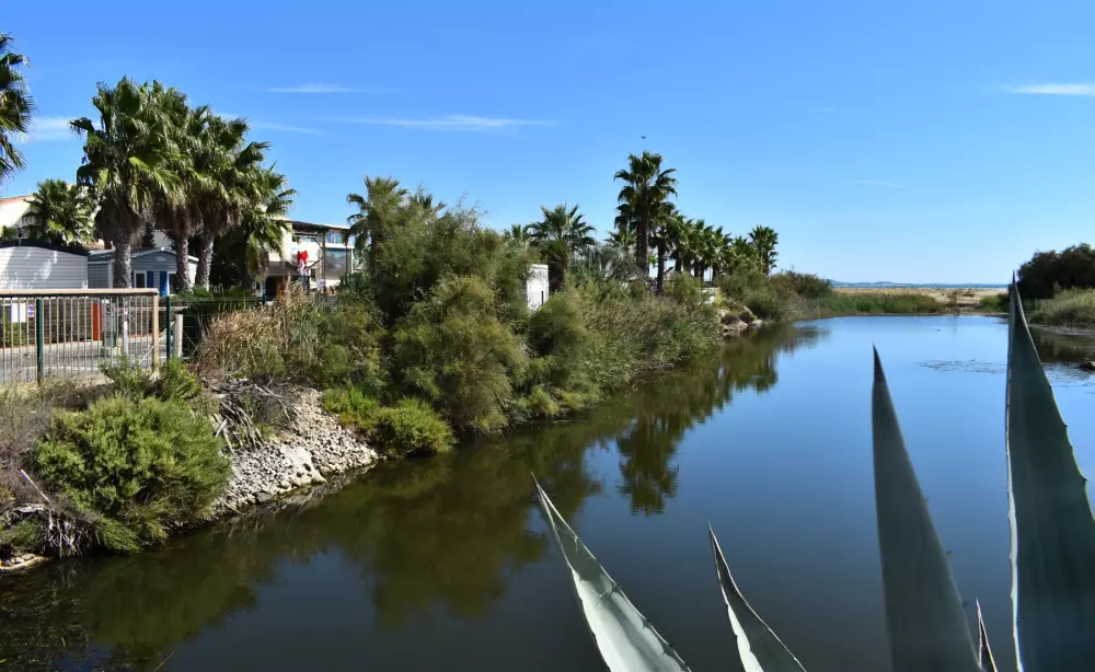 Camping Bleu Marine 41 Stars★ - Beach