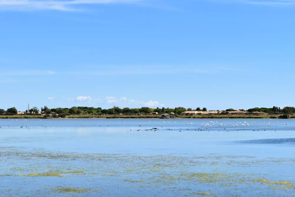 Camping Bleu Marine 41 Stars★ - Beach