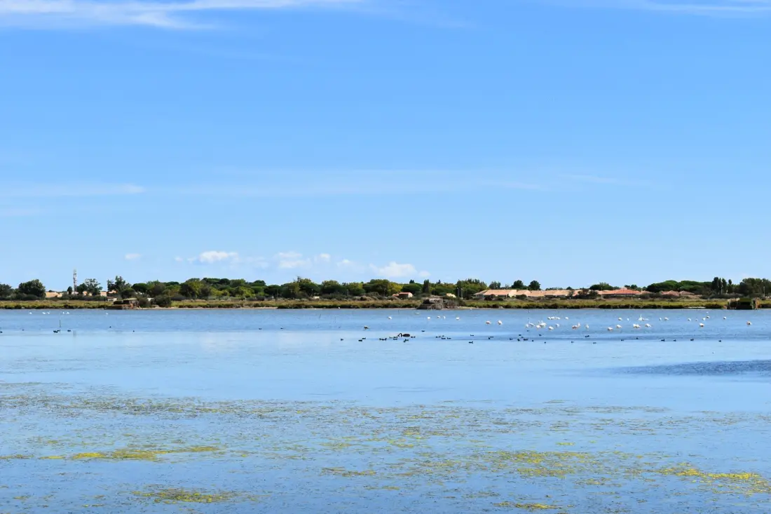 Camping Bleu Marine 41 Sterne★ - Strand