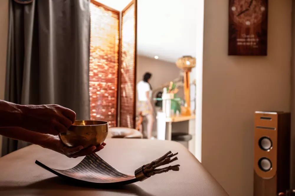 Campeggio Mas des Lavandes 41 Stelle★