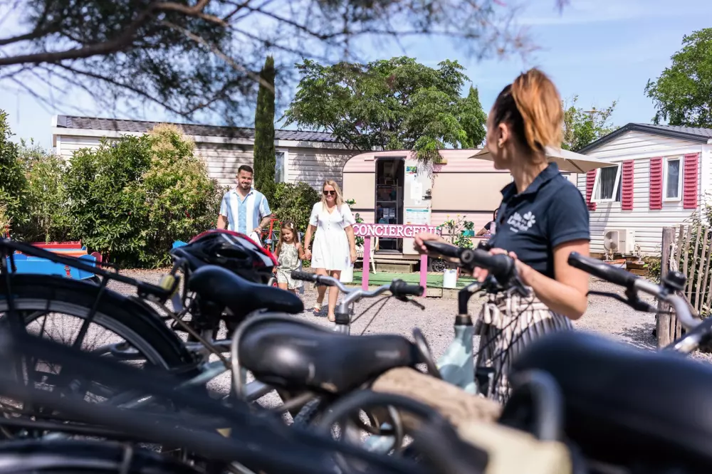 Campeggio Mas des Lavandes 41 Stelle★