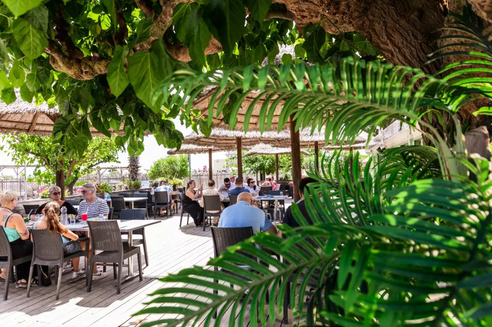 Campeggio Mas des Lavandes 41 Stelle★