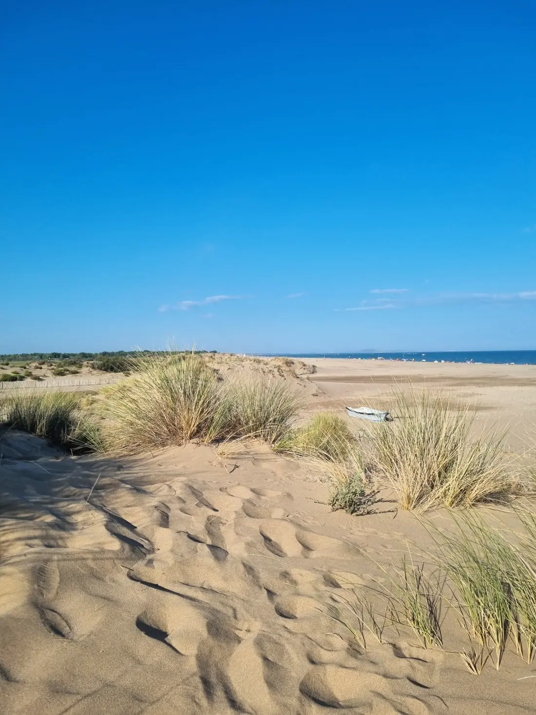 Camping Mas Des Lavandes4 Estrellas★★★★