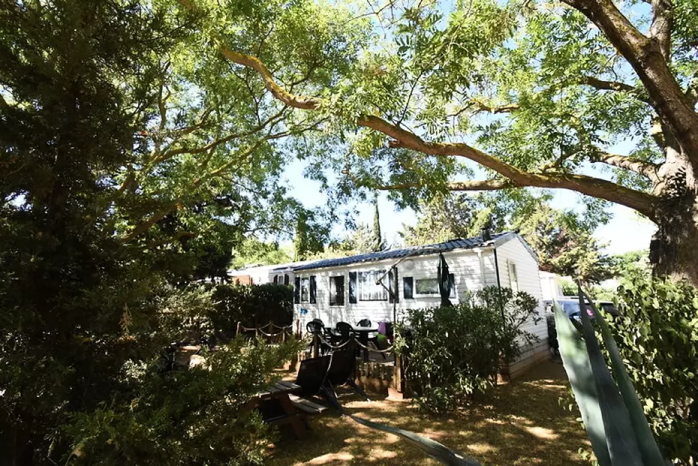 Camping Mas des Lavandes 4 étoiles★★★★