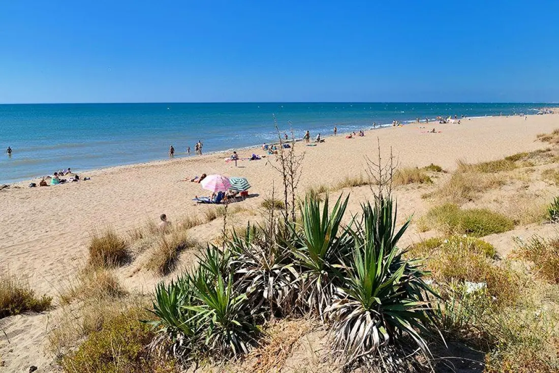 Camping Mas Des Lavandes4 Estrellas★★★★