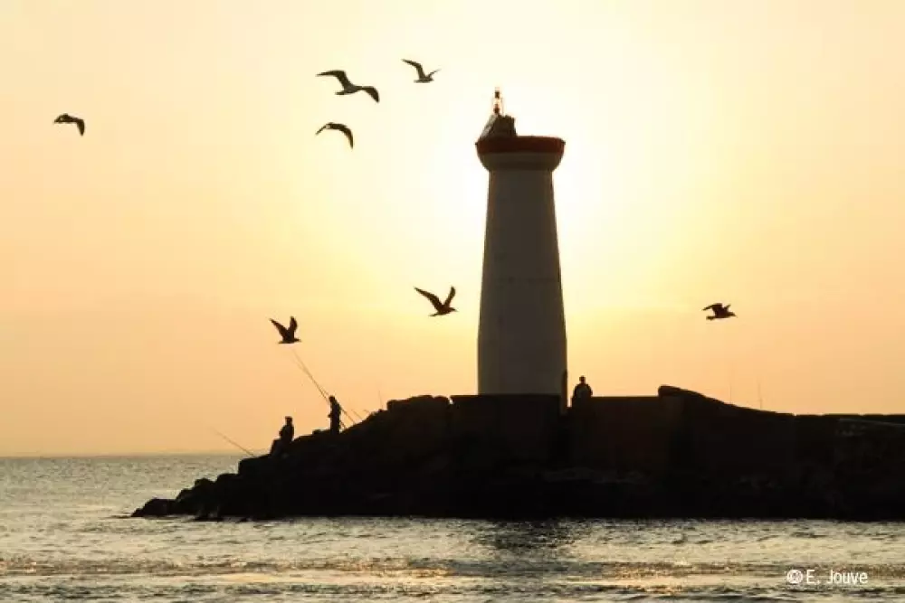 Camping Mas des Lavandes 4 étoiles★★★★