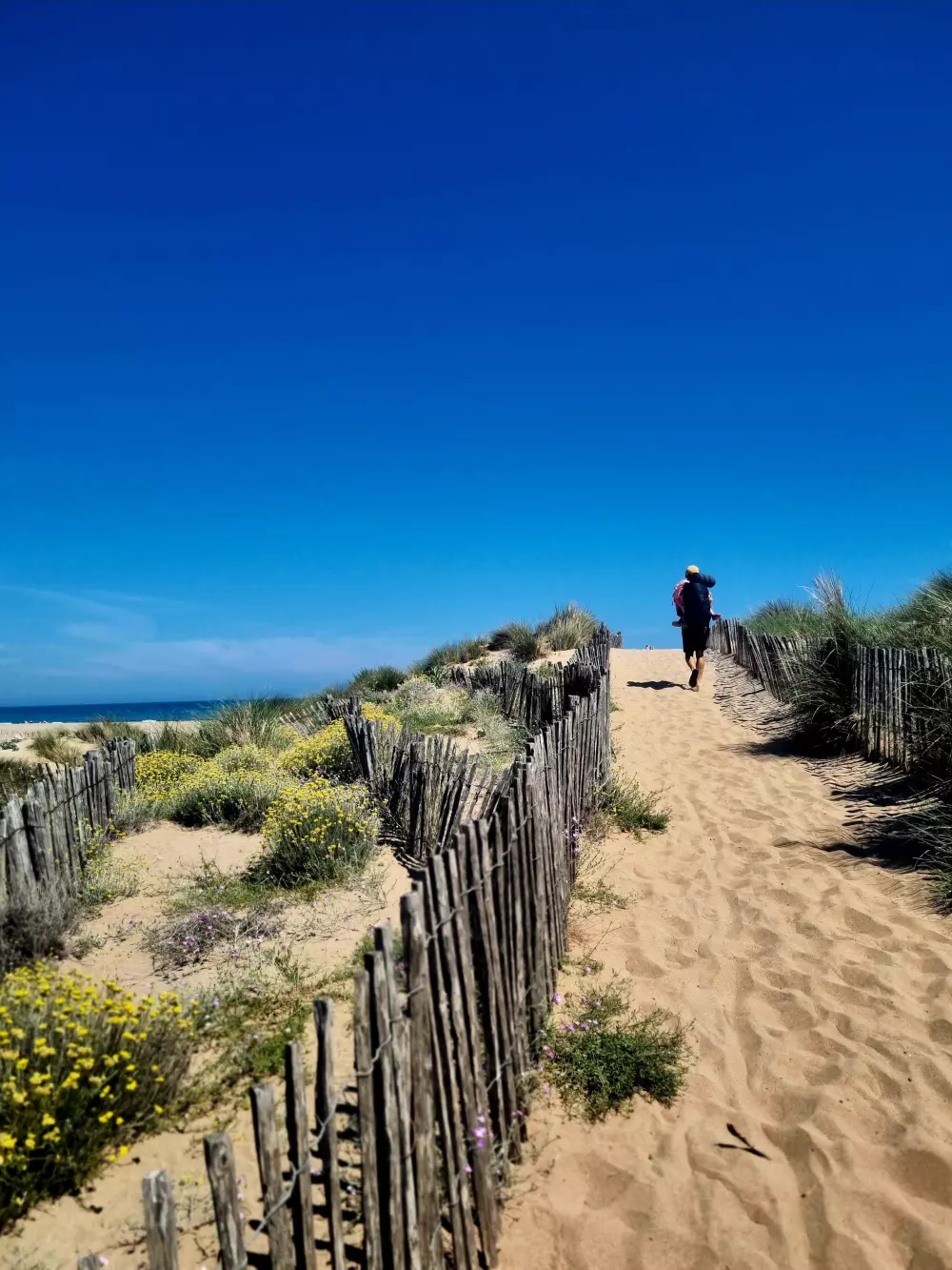 Camping Mas des Lavandes 4 étoiles★★★★