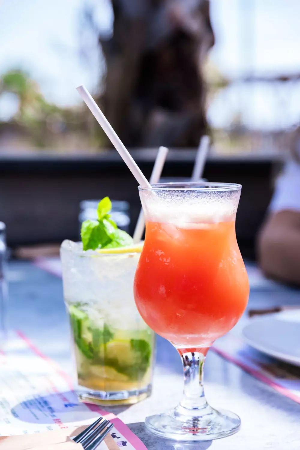 Camping Mas des Lavandes 4 étoiles★★★★