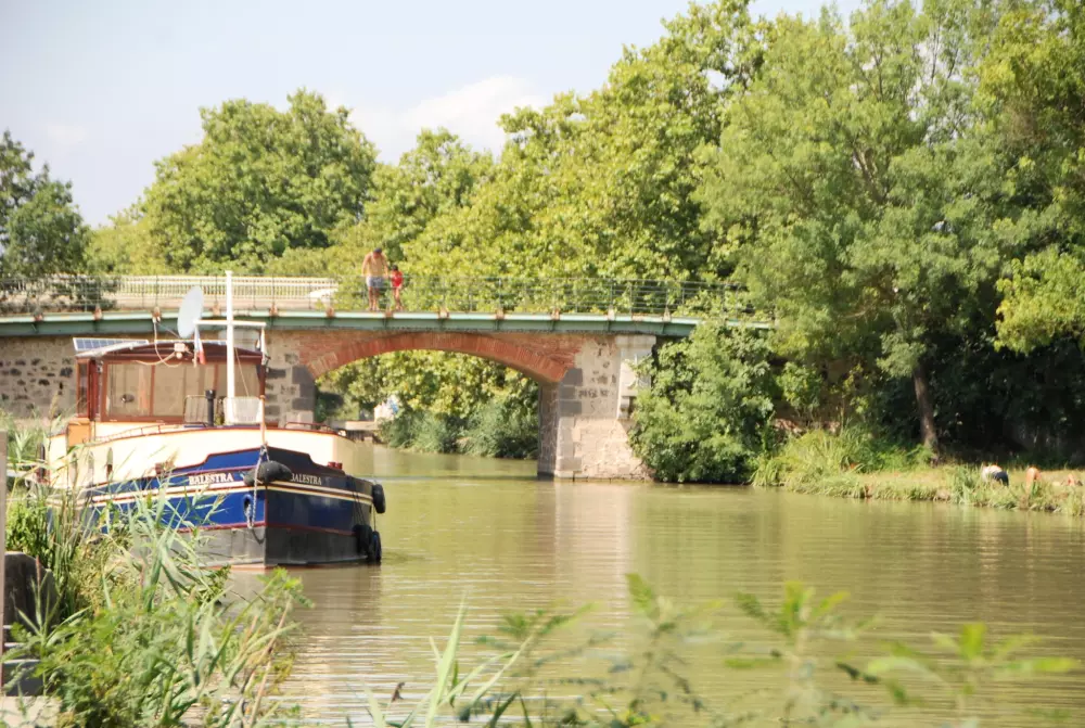 Camping Mas des Lavandes 4 étoiles★★★★